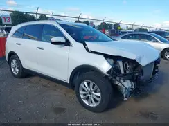 5XYPGDA36KG449402 2019 KIA SORENTO