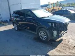 5XYPGDA36KG546132 2019 KIA SORENTO