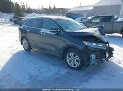 5XYPGDA36LG643252 2020 KIA SORENTO