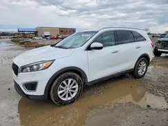 5XYPGDA37GG009664 2016 KIA SORENTO