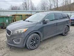 5XYPGDA37HG321761 2017 KIA SORENTO
