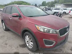 5XYPGDA38GG176700 2016 KIA SORENTO