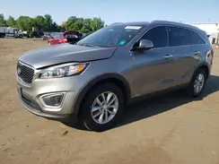 5XYPGDA38HG285319 2017 KIA SORENTO