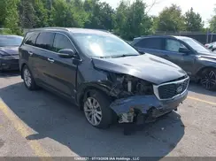5XYPGDA38KG456562 2019 KIA SORENTO