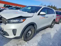 5XYPGDA38LG665981 2020 KIA SORENTO
