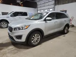5XYPGDA39GG033299 2016 KIA SORENTO