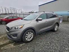 5XYPGDA39GG158173 2016 KIA SORENTO