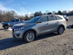 5XYPGDA39HG191787 2017 KIA SORENTO