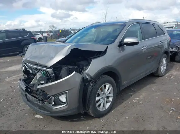 5XYPGDA39HG228224 2017 KIA SORENTO - Image 2