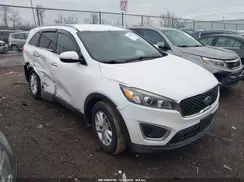 5XYPGDA39HG231933 2017 KIA SORENTO