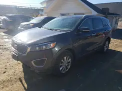 5XYPGDA39HG255486 2017 KIA SORENTO