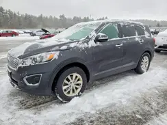 5XYPGDA39HG325116 2017 KIA SORENTO