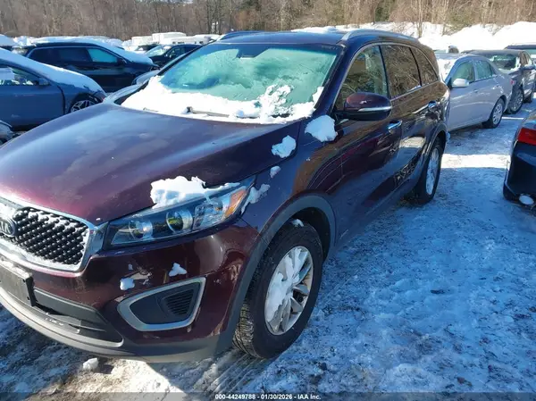 5XYPGDA39HG326718 2017 KIA SORENTO - Image 2