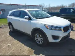 5XYPGDA39JG415677 2018 KIA SORENTO