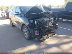5XYPGDA39LG614733 2020 KIA SORENTO