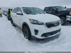 5XYPGDA39LG645657 2020 KIA SORENTO