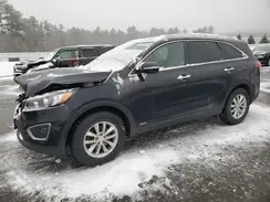 5XYPGDA3XGG032534 2016 KIA SORENTO