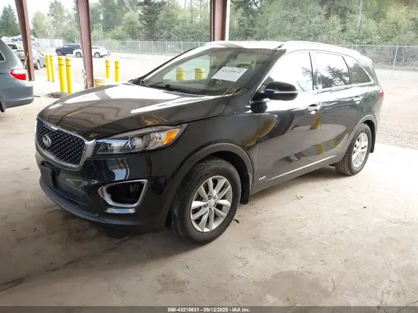 5XYPGDA3XGG152687 2016 KIA SORENTO - Image 2