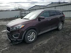 5XYPGDA3XHG281448 2017 KIA SORENTO