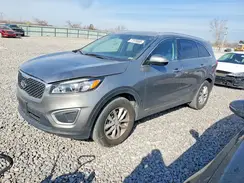 5XYPGDA3XHG294023 2017 KIA SORENTO