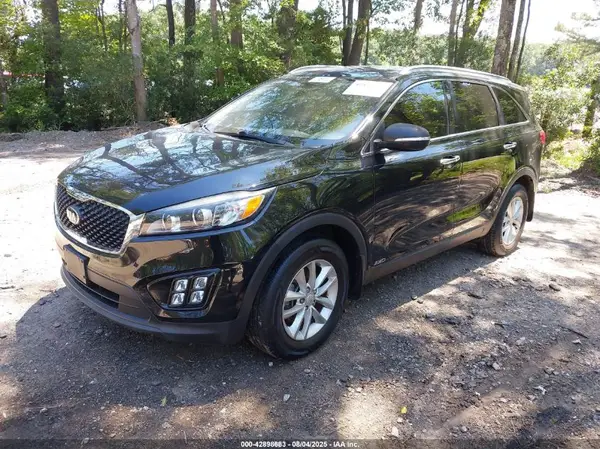 5XYPGDA3XHG299657 2017 KIA SORENTO - Image 2