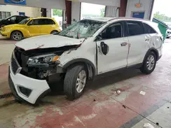5XYPGDA3XHG305036 2017 KIA SORENTO