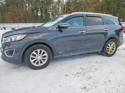 5XYPGDA3XHG325075 2017 KIA SORENTO