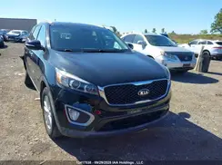 5XYPGDA3XHG326226 2017 KIA SORENTO