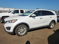5XYPGDA50GG003674 2016 KIA SORENTO