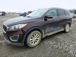 5XYPGDA50GG025755 2016 KIA SORENTO