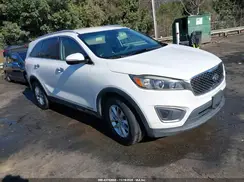5XYPGDA50GG089665 2016 KIA SORENTO