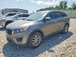 5XYPGDA50GG139531 2016 KIA SORENTO
