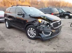 5XYPGDA50HG215931 2017 KIA SORENTO