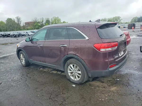 5XYPGDA50HG225231 2017 KIA SORENTO - Image 2