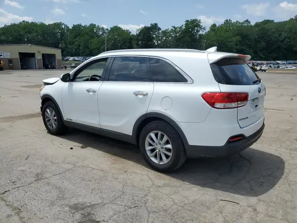5XYPGDA50HG235029 2017 KIA SORENTO - Image 2