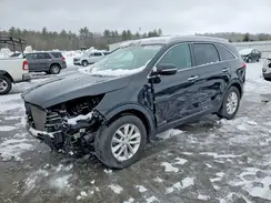 5XYPGDA50HG240196 2017 KIA SORENTO
