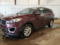 5XYPGDA50HG312174 2017 KIA SORENTO