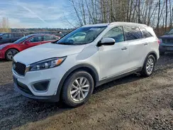 5XYPGDA50HG317648 2017 KIA SORENTO