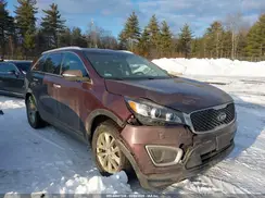 5XYPGDA50HG320310 2017 KIA SORENTO