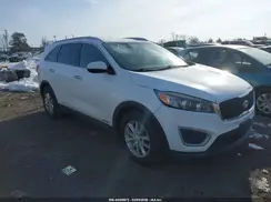 5XYPGDA50HG335101 2017 KIA SORENTO