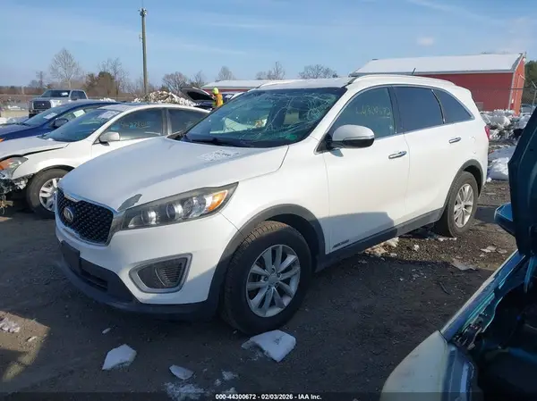 5XYPGDA50HG335101 2017 KIA SORENTO - Image 2