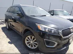 5XYPGDA50HG335275 2017 KIA SORENTO
