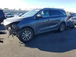 5XYPGDA50JG406481 2018 KIA SORENTO