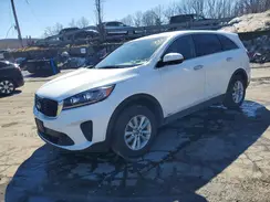 5XYPGDA50KG487516 2019 KIA SORENTO
