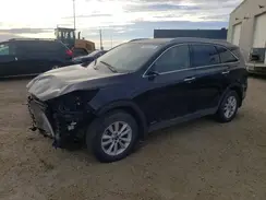 5XYPGDA50LG675597 2020 KIA SORENTO