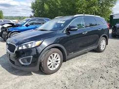 5XYPGDA51GG001769 2016 KIA SORENTO