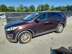 5XYPGDA51GG045643 2016 KIA SORENTO