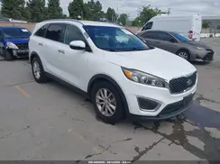5XYPGDA51GG173994 2016 KIA SORENTO