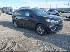 5XYPGDA51HG231698 2017 KIA SORENTO