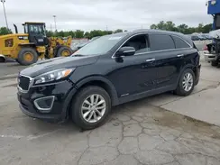 5XYPGDA51HG272591 2017 KIA SORENTO